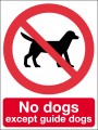 No dogs except guide dogs