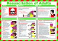 Resuscitation of Adults